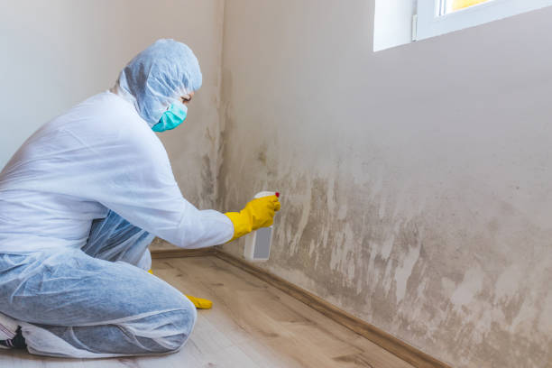 Crawl Space Mold Remediation treatment of floor joists in Belford