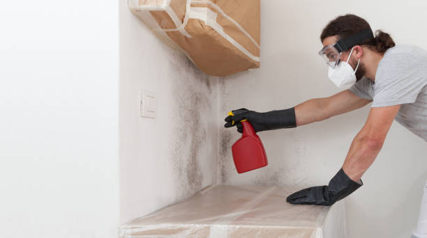 Attic Mold Remediation treatment on roof deck in Belford