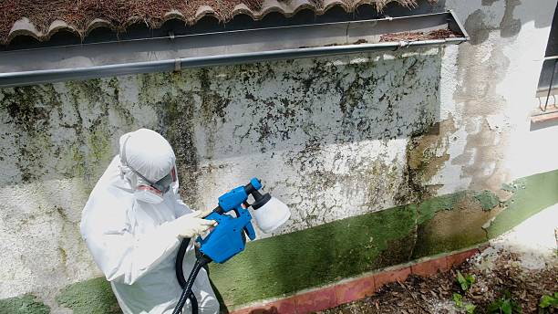 Clearance testing in Belford